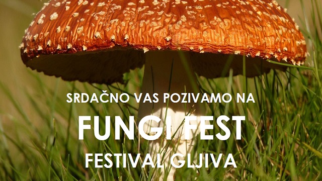 FUNGI FEST – Festival gljiva 2023.