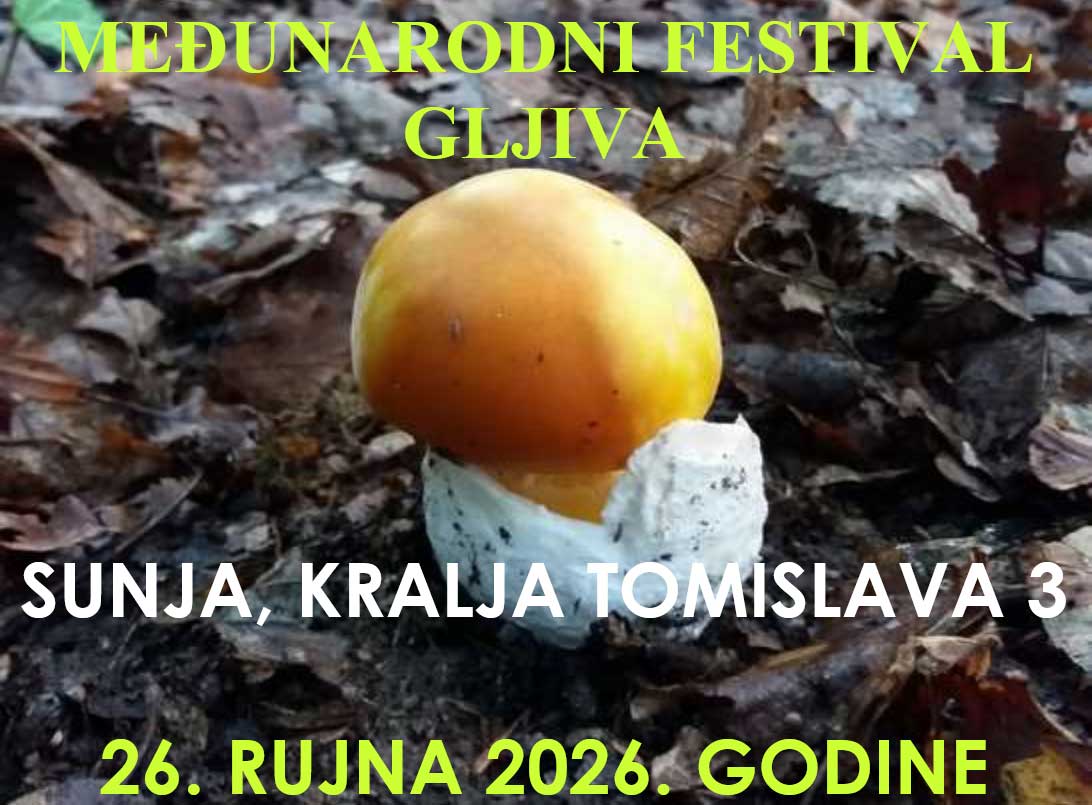 Festival gljiva u Sunji